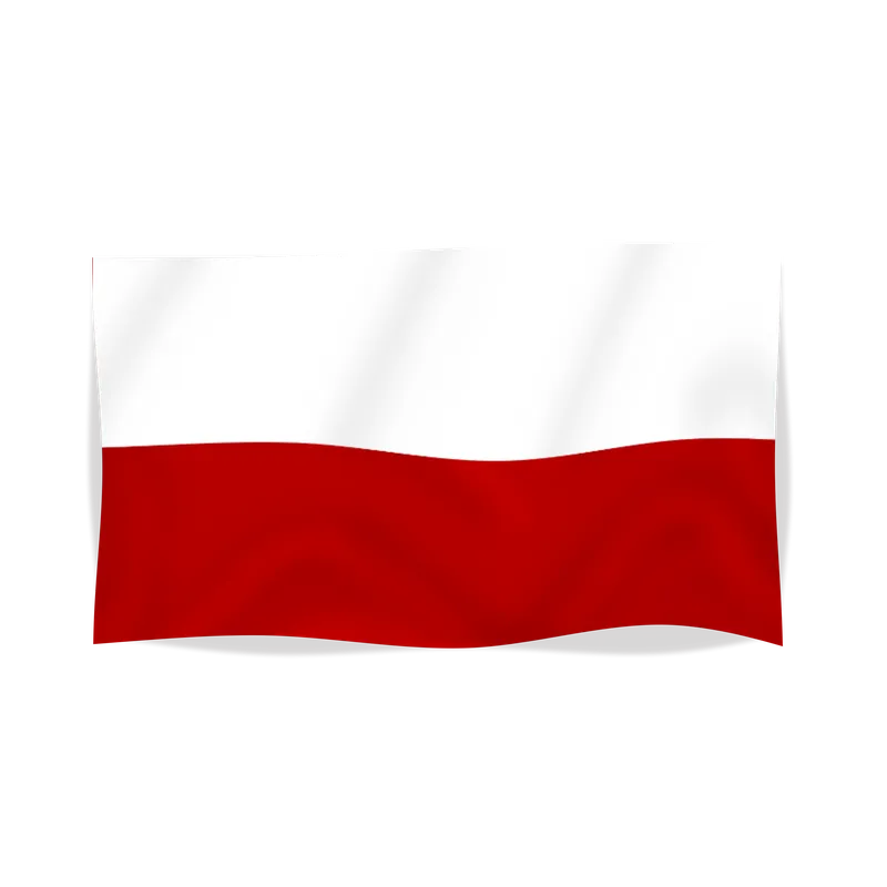 000 copy of * 000 (PDF) - Wysyłka od ręki