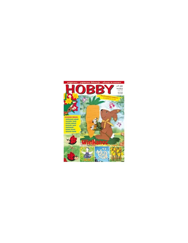 Hobby 1/2010 - Spiesz się